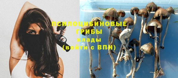 эйфоретик Бородино