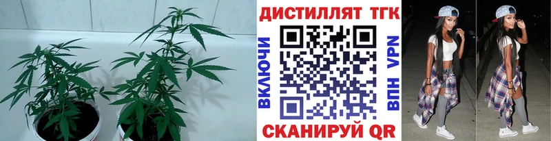 ТГК вейп  Кинель 