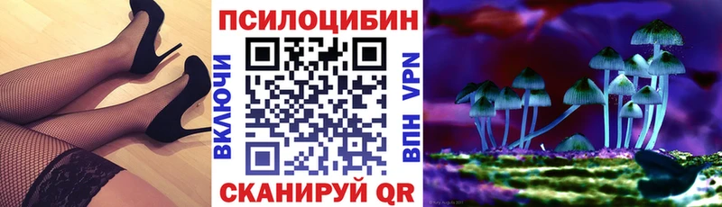 Галлюциногенные грибы GOLDEN TEACHER Кинель